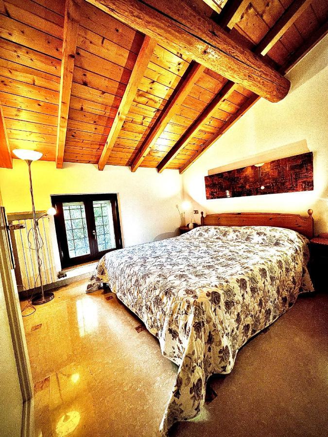 Welcome Traveller Arigoni *